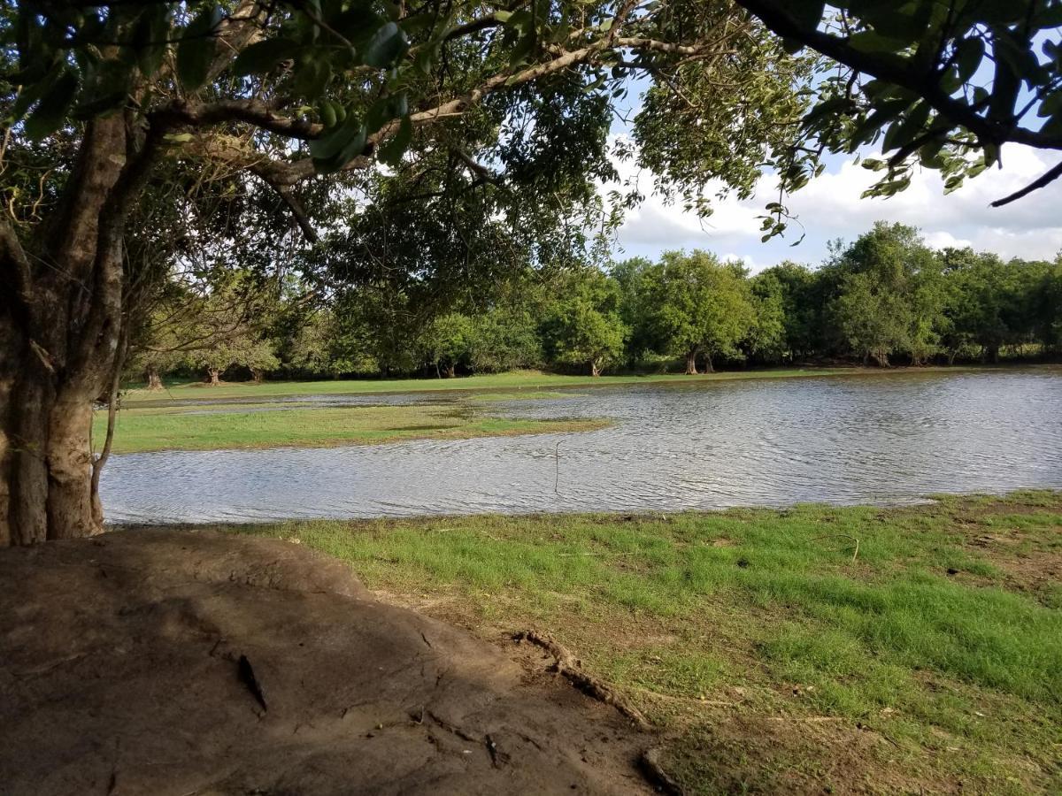 Sigiri Holiday Villa Sigiriya Ngoại thất bức ảnh