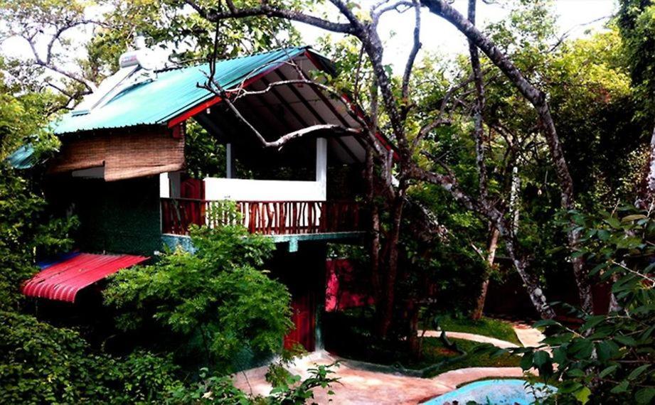 Sigiri Holiday Villa Sigiriya Ngoại thất bức ảnh