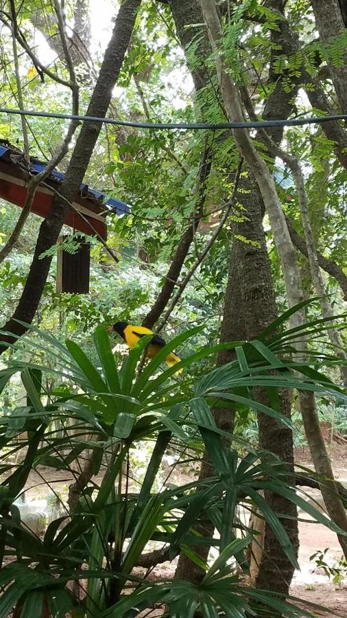 Sigiri Holiday Villa Sigiriya Ngoại thất bức ảnh